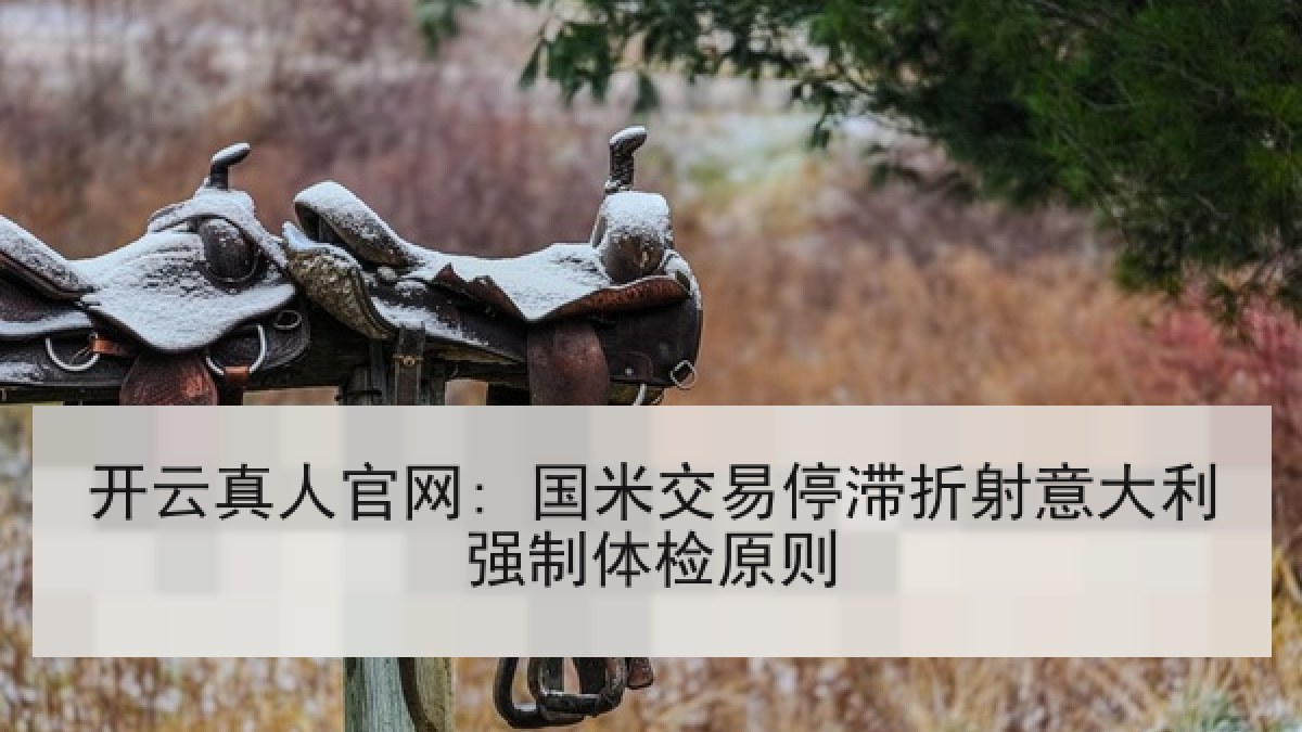 开云真人官网: 国米交易停滞折射意大利强制体检原则