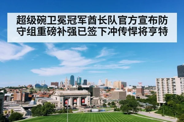 超级碗卫冕冠军酋长队官方宣布防守组重磅补强已签下冲传悍将亨特